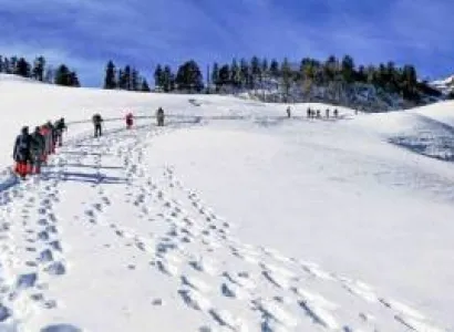 2 Days Triund Trek Tour