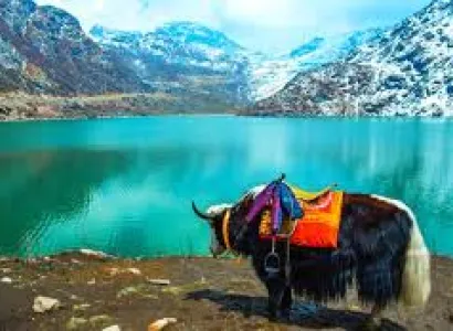 Pelling Tour Packages