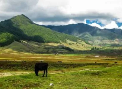 Bhutan Tour Package For 7 Days - 6 Night