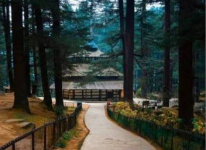 5 nights, 6 days Shimla, Manali package