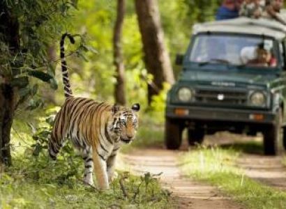 Jim Corbett National Park Tour Package 2 Nights - 3 Days