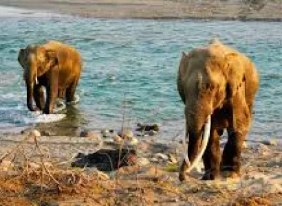 Nainital - Jim Corbett National Park Tour Package