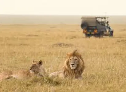 7 Days Masai Mara - Lake Nakuru - Amboseli Tour