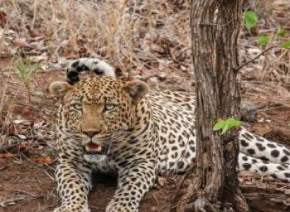 10 Days Magical Kenya Experience Tour