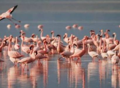 Day Trip - Lake Nakuru National Park