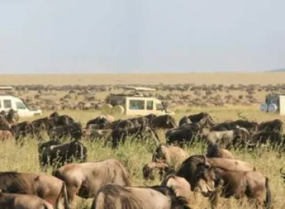 Ngorongoro Tour Packages