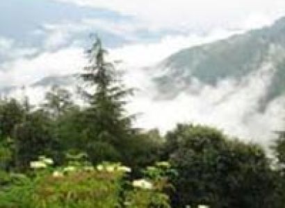 Chail Weekend Package