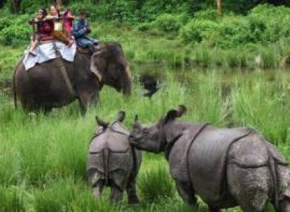 Chitwan Tour