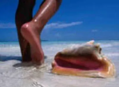 Splendid Andaman Tour