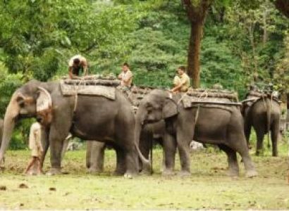 4 Nights - 5 Days Assam Adventure Tour