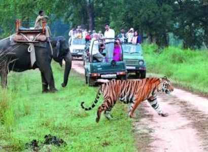 4 Days Corbett Nainital Tour Package