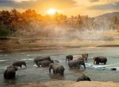 3 Nights Sri Lanka - Kandy And Colombo