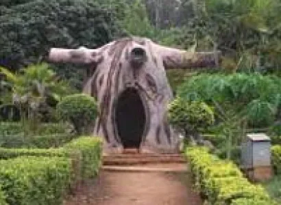 Vizag-Araku-Borra Caves Tour