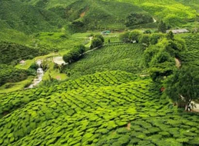 Sweet Eastern Himalaya Tour: 6 Night / 7 Days Package