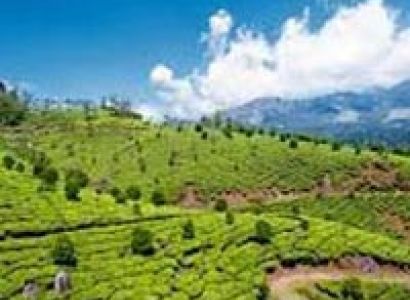 Gangtok 02 Nights /Darjeeling 02 Nights Duration : 05 Days/04 Nights