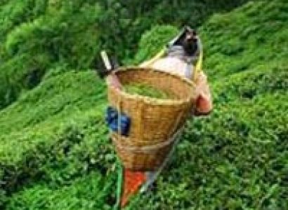 Himalayan Triangle 06 Nights / 07 Days Package