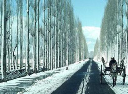 Gulmarg Road
