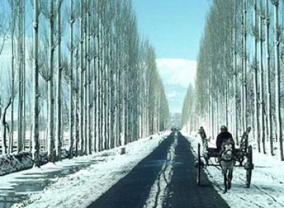 Gulmarg Road
