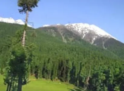 Indian Mini switzerland