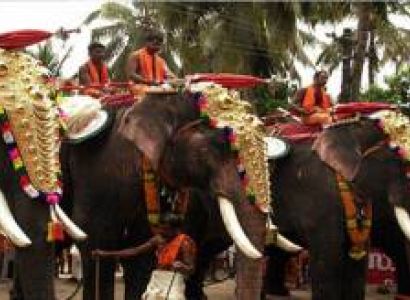 Kerala - Cochin - Munnar - Thekkady - Alleppy : 6 Days - 5 Nights Tour