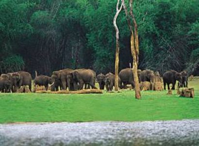 Kerala - Cochin - Munnar - Thekkady - Alleppy : 6 Days - 5 Nights Tour
