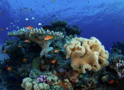 Visakhapatnam Circle Package