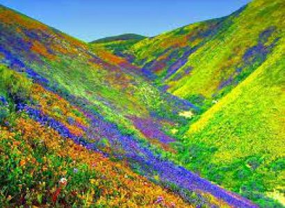 Badri-Kedar Yatra Do Dham Yatra 08 Days / 07 Nights