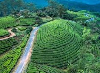 Cochin - Guruvayur - Kaladi - Munnar – Thekkady - Alleppey Houseboat - Cochin 06 Days / 05 Nights