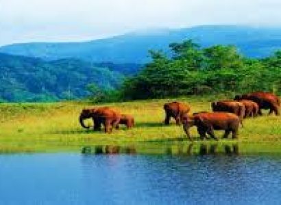 Cochin - Guruvayur - Kaladi - Munnar – Thekkady - Alleppey Houseboat - Cochin 06 Days / 05 Nights