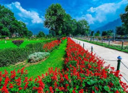 Kashmir Panorama Package