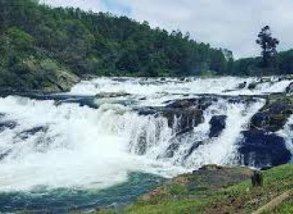 Royal Mysore & Scenic Ooty Tour with Coimbatore