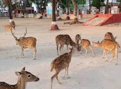 Andaman Islands Tour