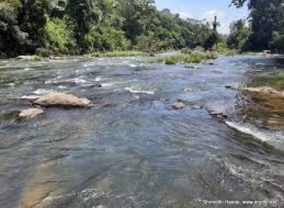 Royal Karnataka Explorer Coorg–Mysore Special