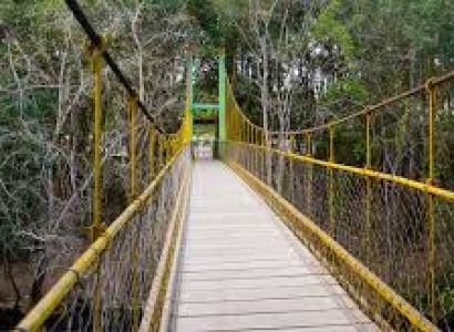 Royal Karnataka Explorer Coorg–Mysore Special