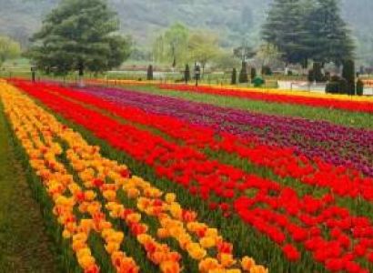 Enchanting Kashmir Escape