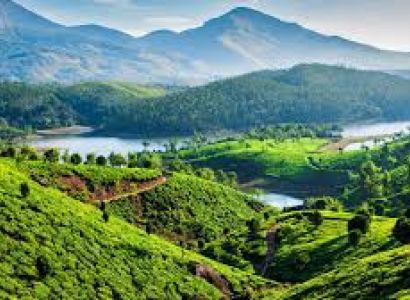 Kerala - Cochin - Munnar - Thekkady - Alleppy : 6 Days - 5 Nights Tour