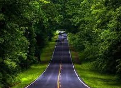 Coorg–Wayanad Nature Paradise Tour