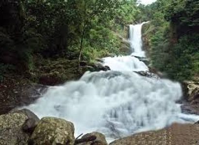 Coorg–Wayanad Nature Paradise Tour