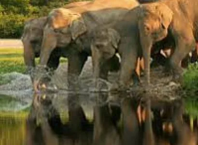 One day Tour Type - II