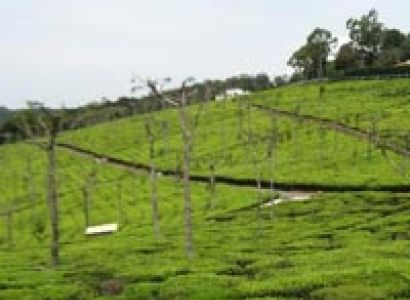 One day Tour Type – IV