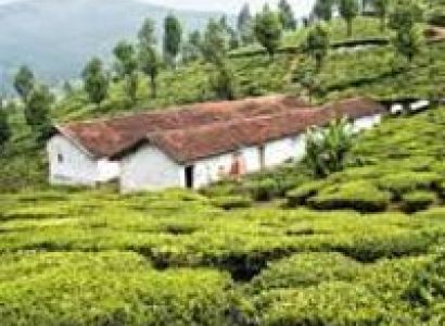 One day Tour Type – VIII