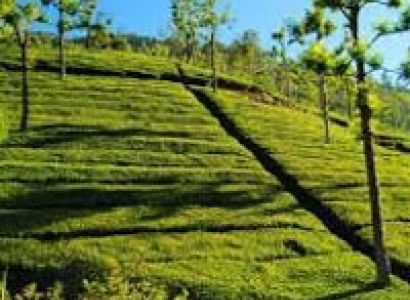 One day Tour Type – IX