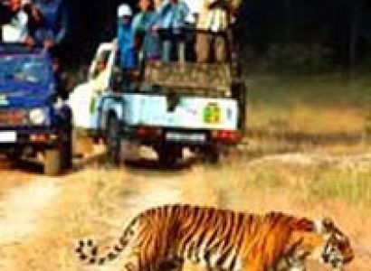 Corbett Wild Tour