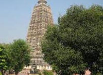 Discover Buddha Tour