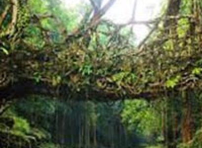 Scotland of east - Meghalaya Tour