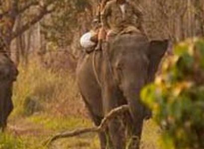 Manas Nation Park Tour Package