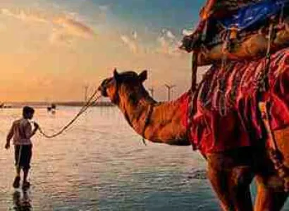 Ahmedabad – Lrk – White Rann Tour