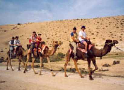 Golden Triangle Desert Tour