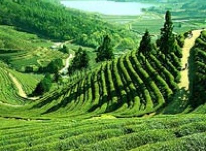 Himalayan Special Tour