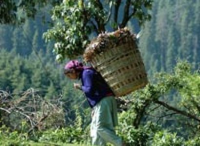 Himalayan Special Tour